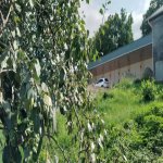 Kirayə (günlük) 3 otaqlı Bağ evi Quba 28