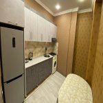 Satılır 2 otaqlı Yeni Tikili, 28 May metrosu, 28 Mall, Nəsimi rayonu 5