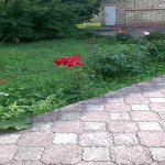 Kirayə (günlük) 2 otaqlı Həyət evi/villa, Nərimanov rayonu 3