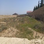 Satılır Torpaq, Türkan, Olimpia Stadionu, Xəzər rayonu 2
