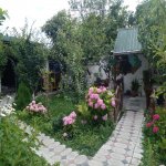 Kirayə (günlük) 3 otaqlı Həyət evi/villa Qax 25