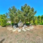 Satılır Torpaq, Şüvəlan, Xəzər rayonu 5