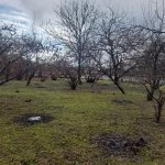 Продажа Участок Гябяля 3