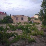 Satılır Torpaq, Novxanı, Abşeron rayonu 11