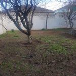 Satılır 7 otaqlı Həyət evi/villa, Qaraçuxur qəs., Suraxanı rayonu 20