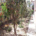 Satılır 6 otaqlı Həyət evi/villa, İçərişəhər metrosu, Badamdar qəs., Səbail rayonu 3