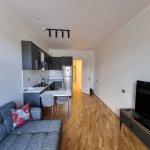 Аренда 2 комнатная Вторичка, м. Ичяришяхяр метро, Сябаиль район 8