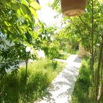 Kirayə (günlük) 4 otaqlı Bağ evi Qusar 27