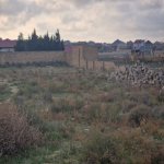 Satılır Torpaq, Saray, Abşeron rayonu 4