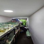 Satılır 4 otaqlı Həyət evi/villa, Avtovağzal metrosu, Biləcəri qəs., Binəqədi rayonu 6