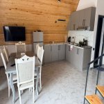 Kirayə (günlük) 4 otaqlı Bağ evi, Novxanı, Abşeron rayonu 4