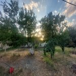 Аренда Объект, пос. Мушвигабад, Гарадаг район 6