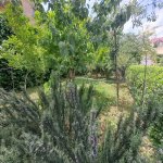 Kirayə (aylıq) 9 otaqlı Həyət evi/villa, Badamdar qəs., Səbail rayonu 9