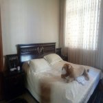 Satılır 8 otaqlı Həyət evi/villa, Neftçilər metrosu, Bakıxanov qəs., Sabunçu rayonu 25