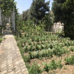 Kirayə (aylıq) 4 otaqlı Bağ evi, Bilgəh qəs., Sabunçu rayonu 12