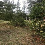 Satılır Torpaq İsmayıllı 5