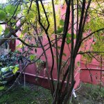 Satılır 3 otaqlı Həyət evi/villa Sumqayıt 21