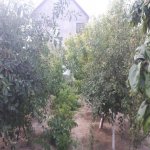 Kirayə (aylıq) 3 otaqlı Bağ evi, Şağan, Xəzər rayonu 7
