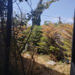 Satılır 3 otaqlı Həyət evi/villa, Binə qəs., Xəzər rayonu 19