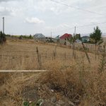 Satılır Torpaq Şamaxı 2