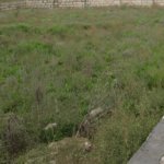 Satılır Torpaq, Mərdəkan, Xəzər rayonu 3