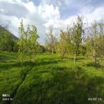 Satılır Torpaq Quba 2