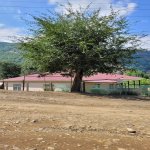 Kirayə (günlük) 3 otaqlı Bağ evi Lerik 6