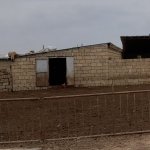 Satılır Torpaq Hacıqabul 3