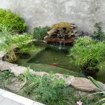 Satılır 4 otaqlı Həyət evi/villa, Novxanı, Abşeron rayonu 6