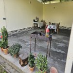 Kirayə (günlük) 4 otaqlı Həyət evi/villa Qəbələ 6