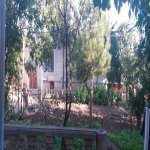 Satılır 8 otaqlı Həyət evi/villa, Bilgəh qəs., Sabunçu rayonu 12