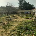 Satılır 6 otaqlı Həyət evi/villa, Goradil, Abşeron rayonu 12