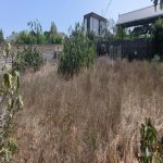 Продажа Участок, Фатмаи, Абшерон район 14