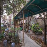 Kirayə (aylıq) 1 otaqlı Ofis, Yasamal rayonu 7