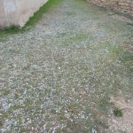 Продажа Участок, м. Эльмляр Академиясы метро, пос. Бадамдар, Сябаиль район 6