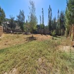 Satılır Torpaq, Novxanı, Abşeron rayonu 3