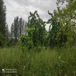 Satılır 5 otaqlı Həyət evi/villa Xaçmaz 7