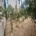 Satılır 5 otaqlı Bağ evi, Mərdəkan, Xəzər rayonu 33