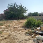 Satılır Torpaq, Novxanı, Abşeron rayonu 4