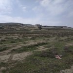 Satılır Torpaq, Goradil, Abşeron rayonu 3