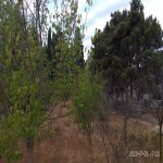 Satılır 1 otaqlı Bağ evi, Mərdəkan, Xəzər rayonu 16