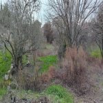 Продажа Участок, Ахмедли, Хетаи район 6