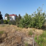 Satılır Torpaq, Novxanı, Abşeron rayonu 6