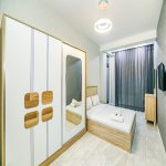 Kirayə (günlük) 2 otaqlı Yeni Tikili, 28 May metrosu, Gənclik Mall, Nəsimi rayonu 6