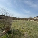 Satılır Torpaq, Şüvəlan, Xəzər rayonu 6