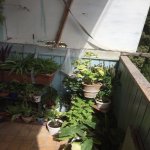 Продажа 2 комнат Вторичка, м. Эльмляр Академиясы метро, пос. Ясамал, Ясамал район 6