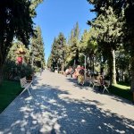 Продажа 12 комнатная Дома/Виллы, м. Гянджлик метро, Наримановский р-н район 22