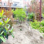 Satılır 4 otaqlı Köhnə Tikili, Azadlıq metrosu, 7-ci mikrorayon, Binəqədi rayonu 16