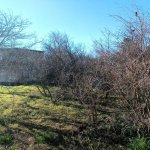 Satılır Torpaq, Novxanı, Abşeron rayonu 6