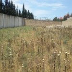 Satılır Torpaq, Mərdəkan, Xəzər rayonu 3